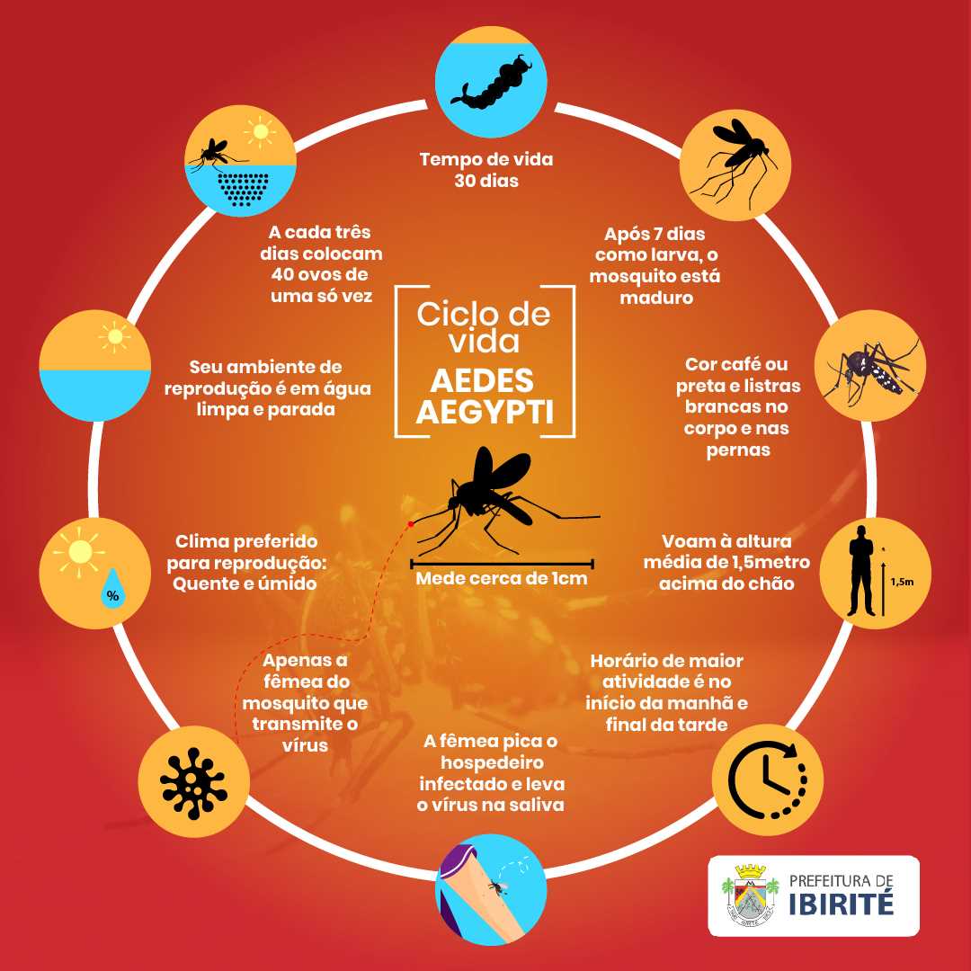 Prefeitura Municipal De Ibirité Que Tal Aproveitar O Isolamento Social E Proteger Sua Casa 9626